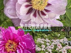 -太阳宫公园