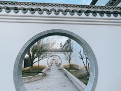 -海上花岛玫瑰园采摘