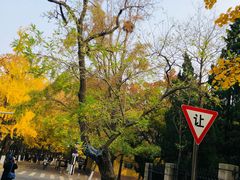 -八大关景区