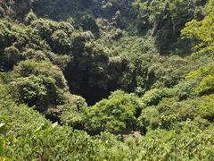 -海口火山口国家地质公园