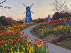 -铁山坪森林公园