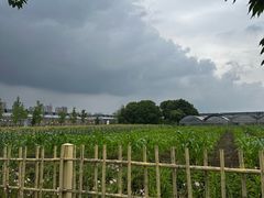 -菊园百果园
