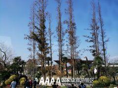 -上海长兴岛郊野公园