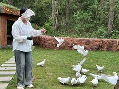 -贵州森林野生动物园
