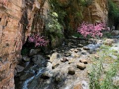 -湖洞水自然风景区