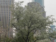 -西北湖绿化广场