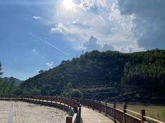 -塞罕坝国家级自然保护区