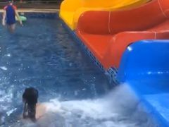 -泉城欧乐堡戏水湾艺术养生温泉