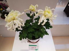 -汇龙潭