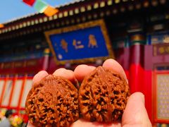 -西安市广仁寺