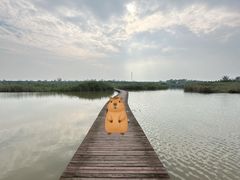 -盐城丹顶鹤湿地生态旅游区