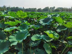 -云龙湖旅游景区