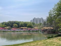 -圩墩遗址公园