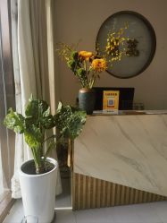 -慈蕊美容养生·专业经络调理