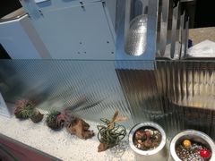 -幸运咖(公园茂直营店)