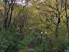 -句容茅山景区