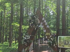 -黄海国家森林公园