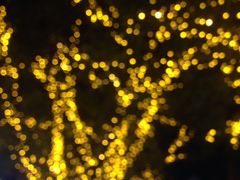 -无影脚佛山陈氏盲公丸始创店(飞鸿街店)