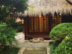 -中国茶叶博物馆(双峰馆区)