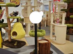 -帕帕拉兹宠物(亚洲旗舰店)