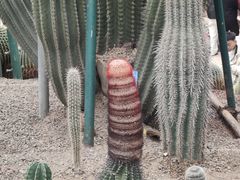 -南山植物园