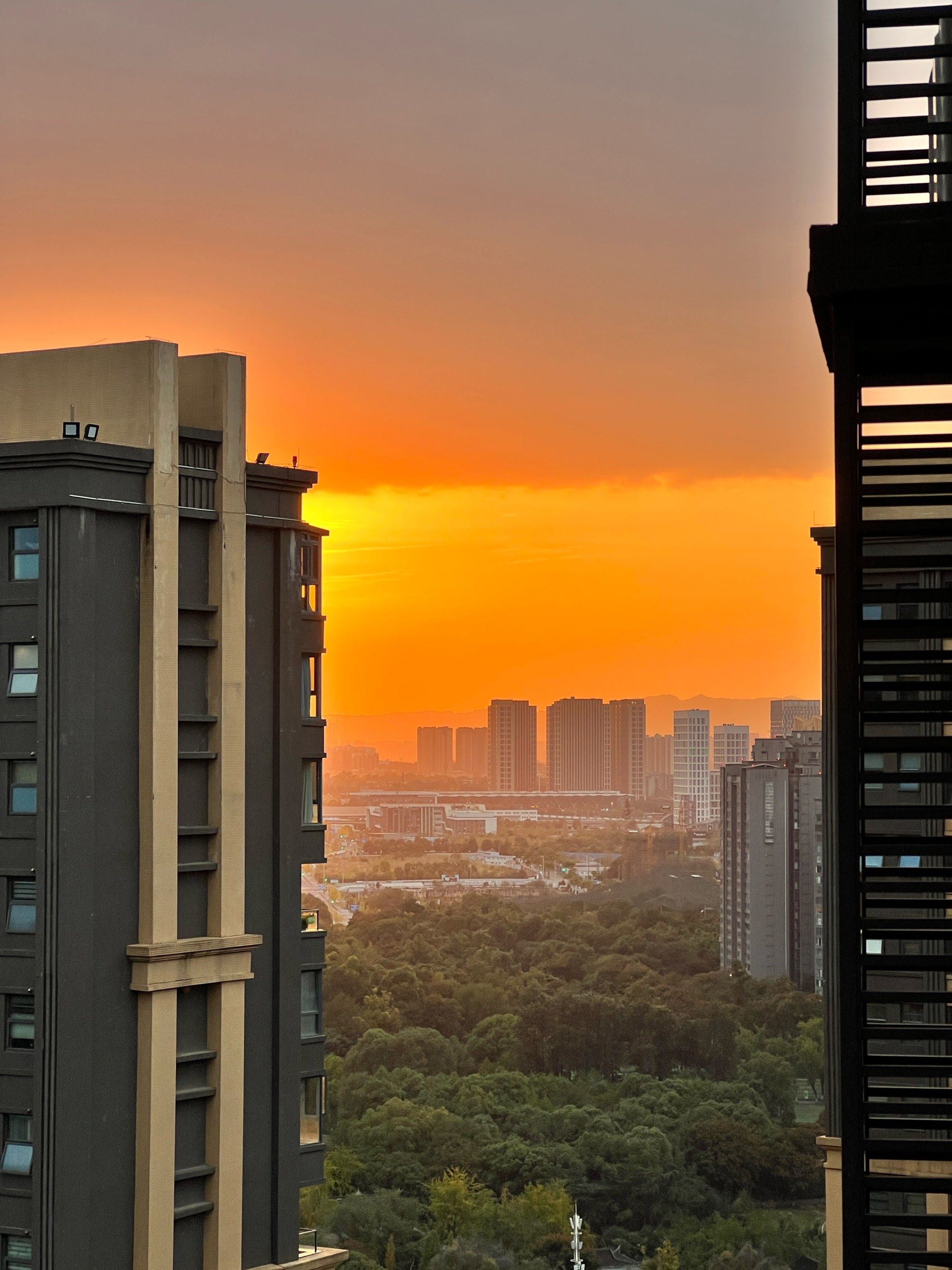 早安成都#清晨 #清晨的一缕阳光