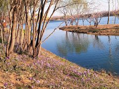 -东郊湿地公园