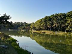-东莞植物园