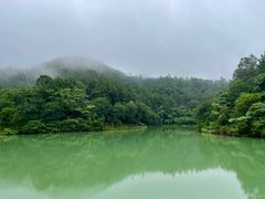 -广州白江湖森林公园