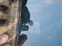 -西安电影制片厂