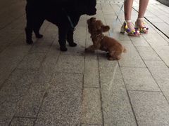 -钱江新城灯光秀