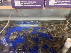-阳澄湖大闸蟹·琼灵阁牌品牌连锁(吴中总店)