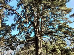 -终南山南五台景区