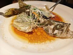 -顺鹅季·非遗烧鹅(六道口店)