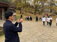 -千年银杏谷文化旅游区