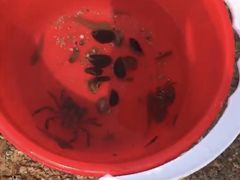 -日照灯塔风景区