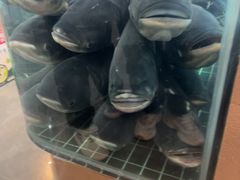 -小山寨(天润城店)