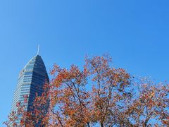 -梅龙湖