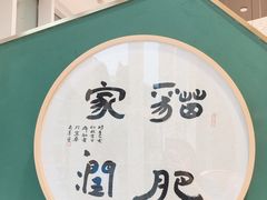 -飞行喵MR PILOT|猫舍·猫咖(静安大融城店)
