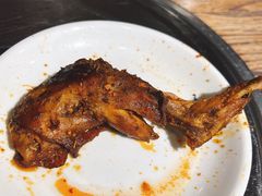 -老号尤兔头(幸福店)