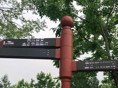 -东郊湿地公园