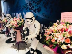 -SFC上影影城(港汇永华IMAX激光店)