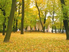 -滴血救世主教堂