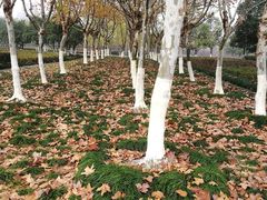 -白塘生态植物园