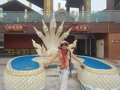 -西双版纳傣族园