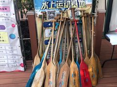 -芒洲湿地公园