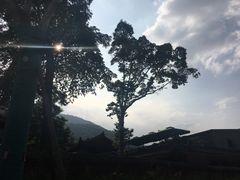 -峨眉山报国寺