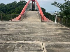 -金鸡山公园