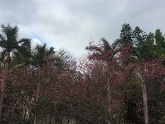 -广东外语外贸大学(白云山校区)