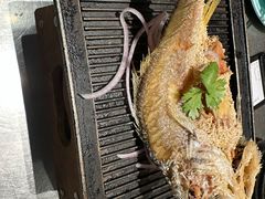 潮煎黄花鱼-潮界(虹桥新天地店)